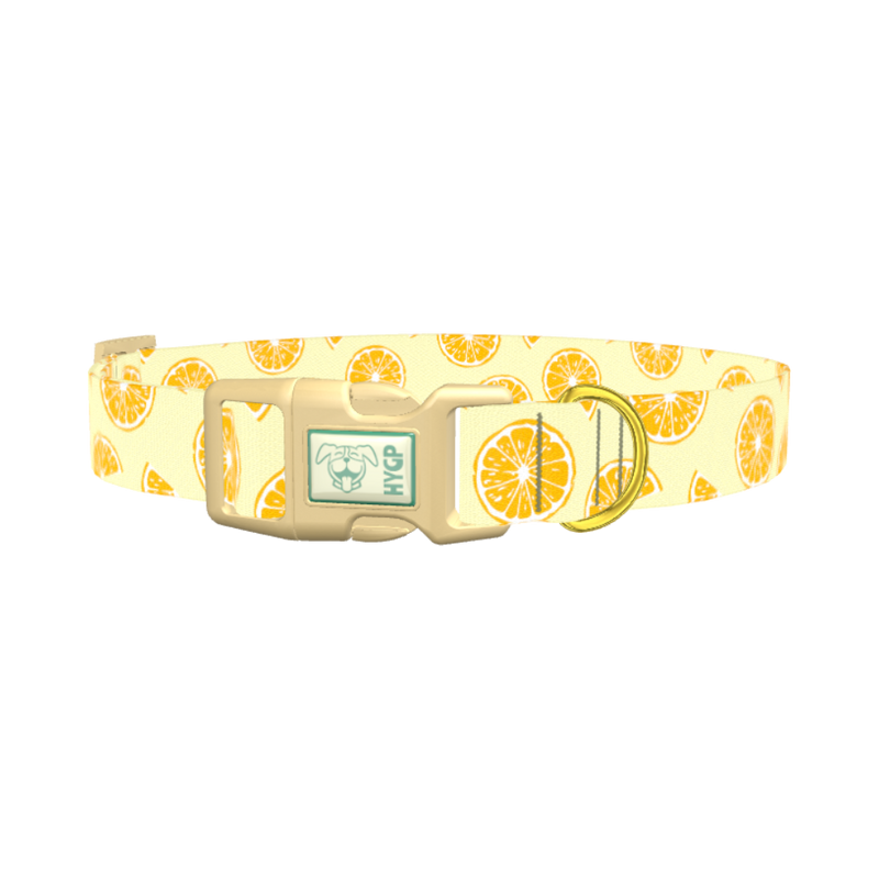 Yellow Citrus Slice Dog Collar - plastic gold