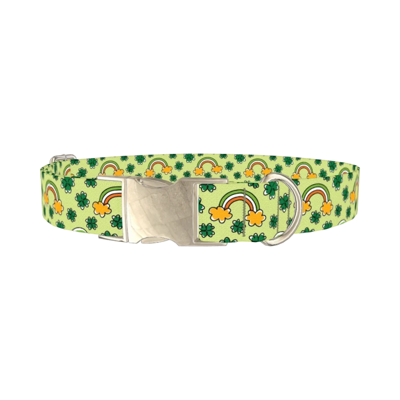 Leprechaun Rainbow Dog Collar - metal silver
