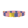 Patriotic American Flag Dog Collar - metal gold