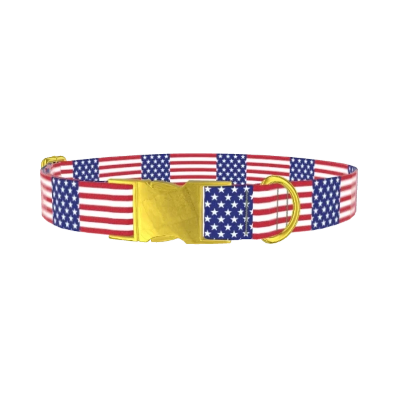 Patriotic American Flag Dog Collar - metal gold