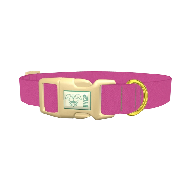 Crushed Berries Color Dog Collar - plastic gold