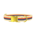 Colorful Stripe Hexagon Dog Collar - metal gold