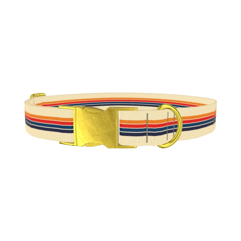 Colorful Stripe Hexagon Dog Collar - metal gold
