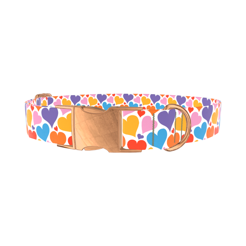 Multicolor Heart Dog Collar - metal silver