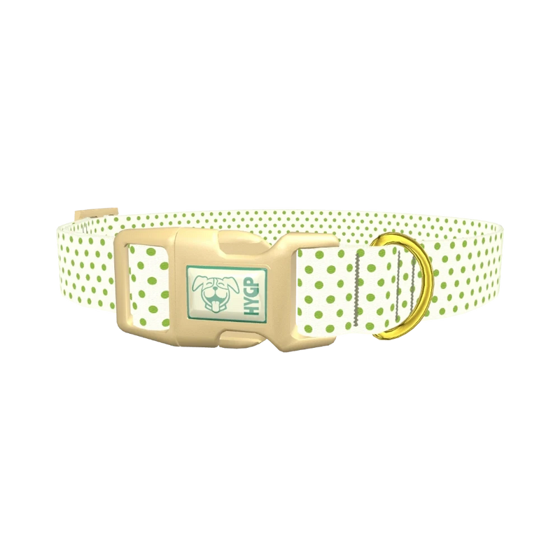 Green Polka Dot Dog Collar - plastic gold
