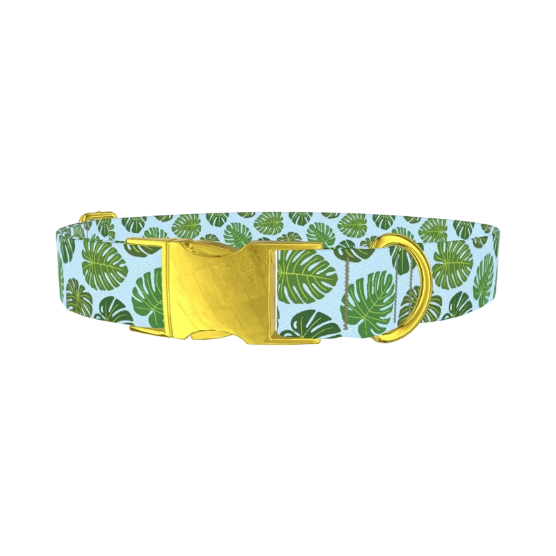 Blue Monstera Leaf Dog Collar - metal gold