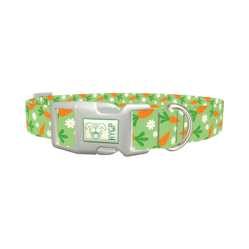 Carrot Floral Dog Collar - plastic silver