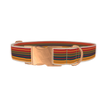 Autumn Stripes Dog Collar - metal rose gold