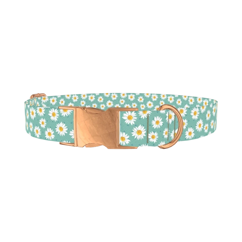 Teal Polka Dot Daisy Dog Collar - metal rose gold
