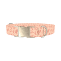 Holiday Western Cactus Dog Collar - metal silver