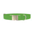 Lost Golfer Color Dog Collar - metal silver