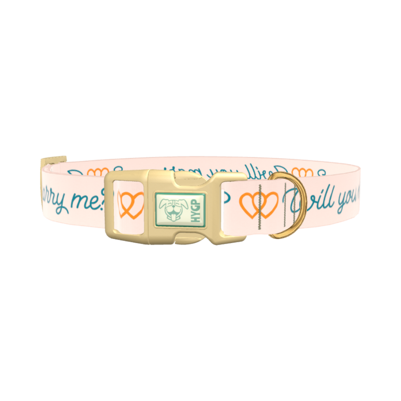Phrase Heart Dog Collar - plastic silver