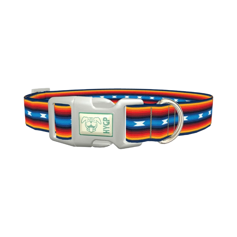 Rainbow Geometric Dog Collar - plastic silver