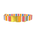Yellow Pink Blue Striped Dog Collar - metal gold