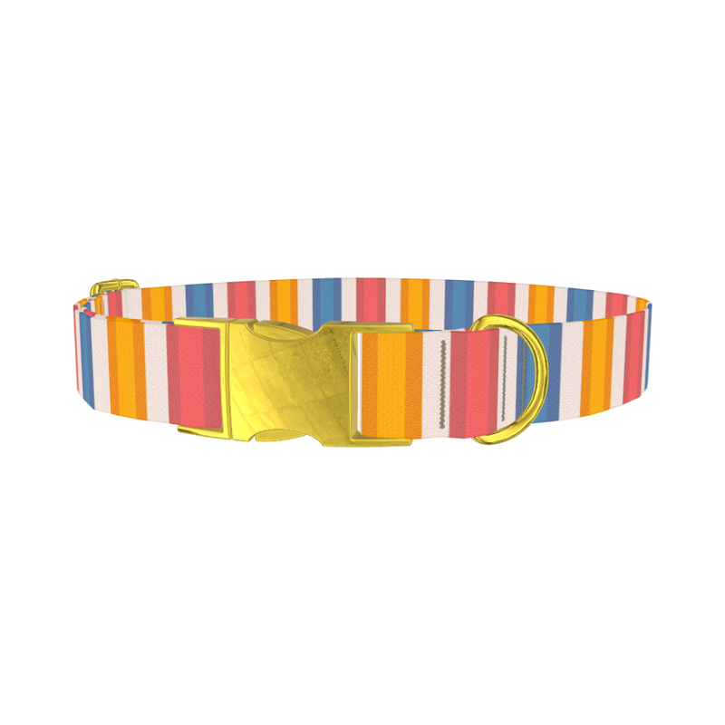 Yellow Pink Blue Striped Dog Collar - metal gold