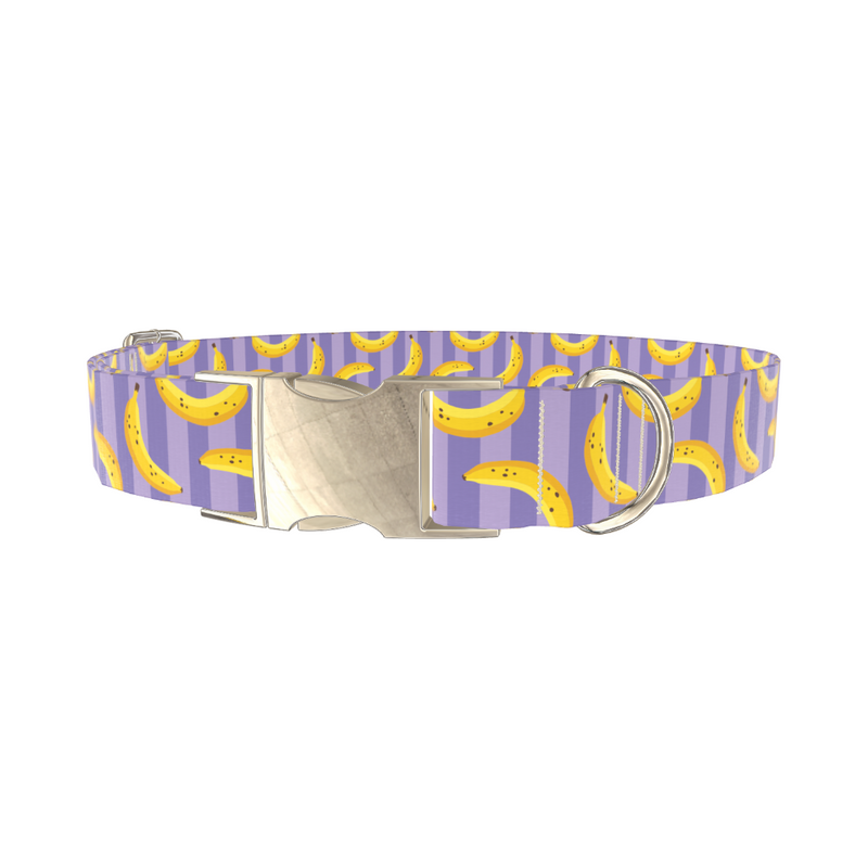Banana Stripe Dog Collar