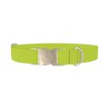 Golden Foliage Color Dog Collar - metal silver