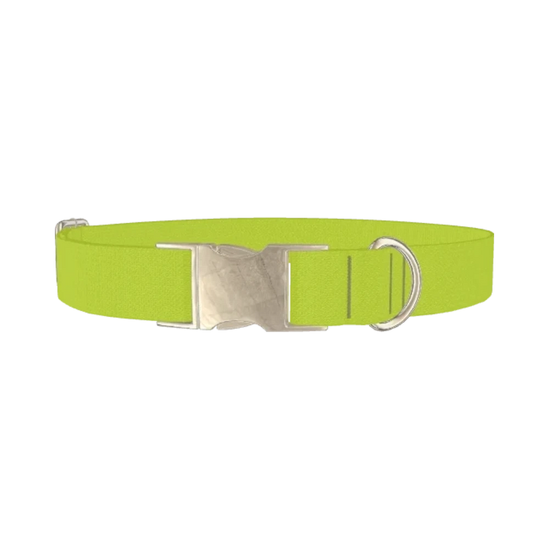 Golden Foliage Color Dog Collar - metal silver