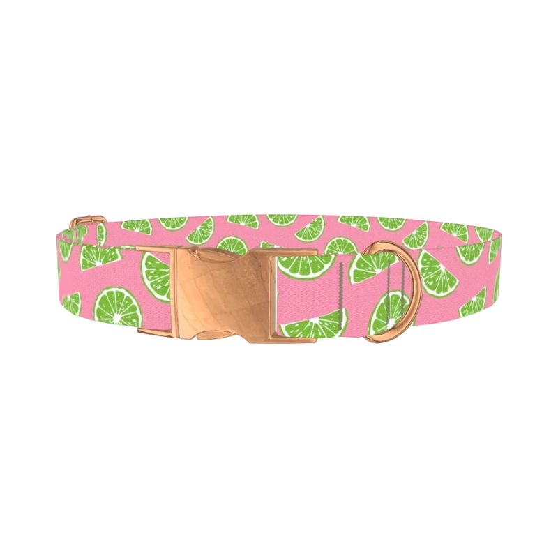 Pink Citrus Dog Collar - metal rose gold
