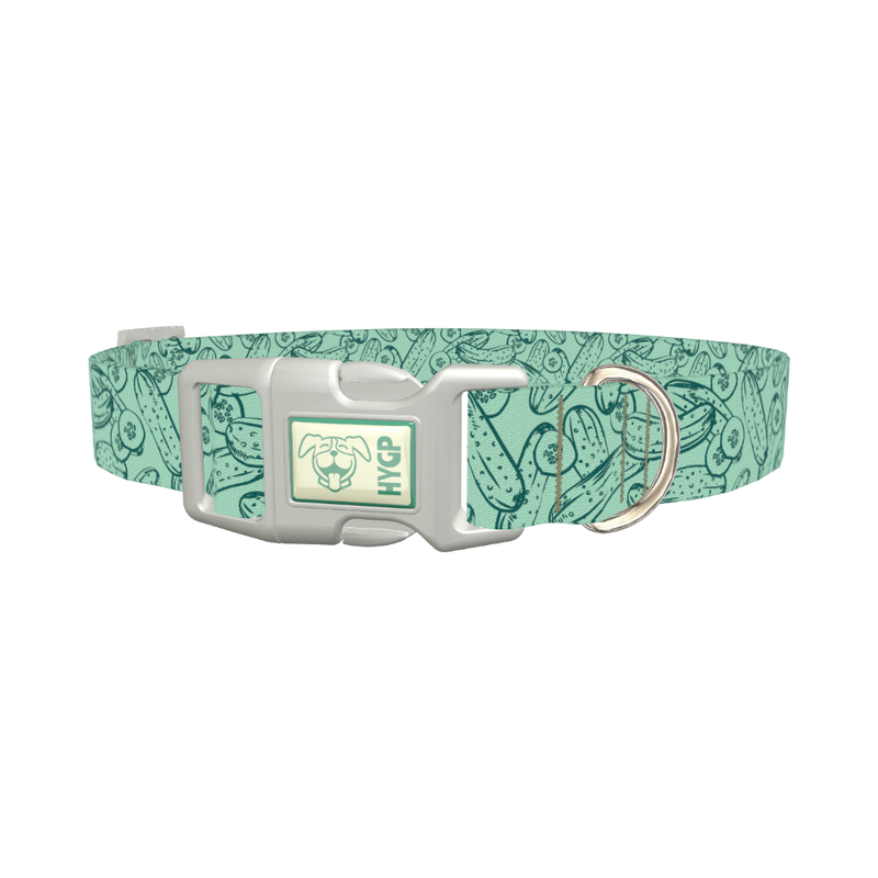 Cucumber Pattern Dog Collar - plastic silver