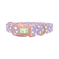 Purple Daisy Pattern Dog Collar - plastic rose gold