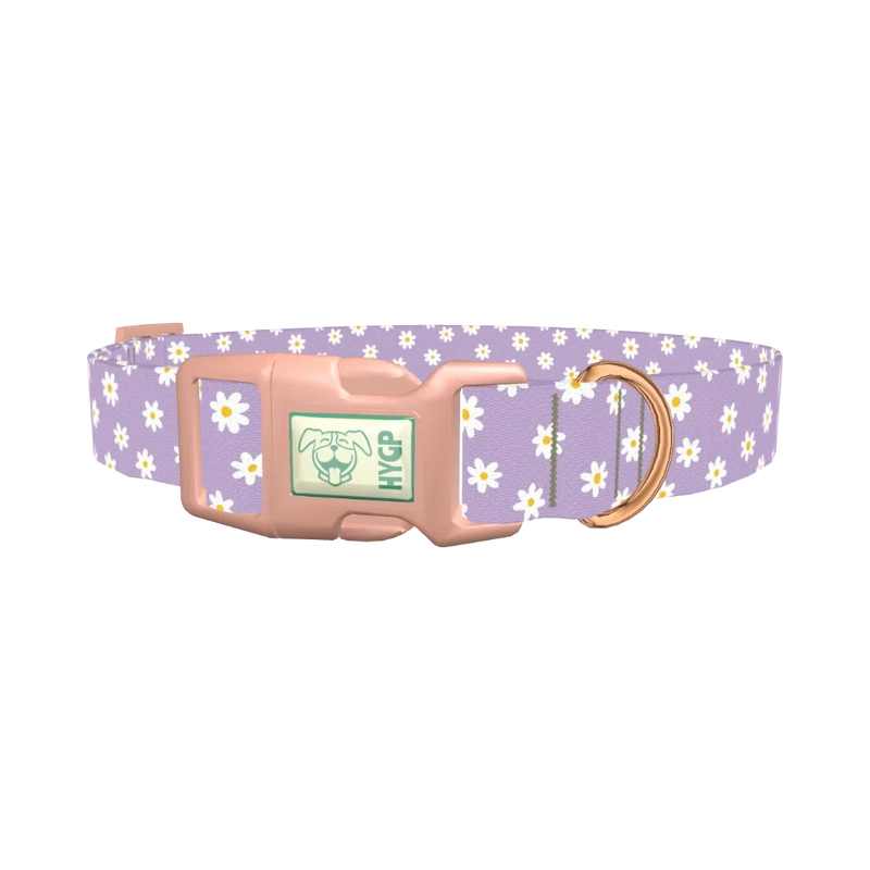 Purple Daisy Pattern Dog Collar - plastic rose gold