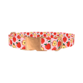 Apple Fruit Dog Collar - metal rose gold