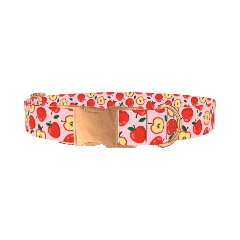 Apple Fruit Dog Collar - metal rose gold
