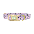 Floral Pansy Dog Collar - plastic gold