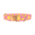 Pink Citrus Burst Dog Collar - metal rose gold