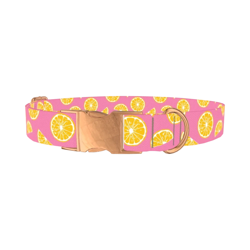 Pink Citrus Burst Dog Collar - metal rose gold