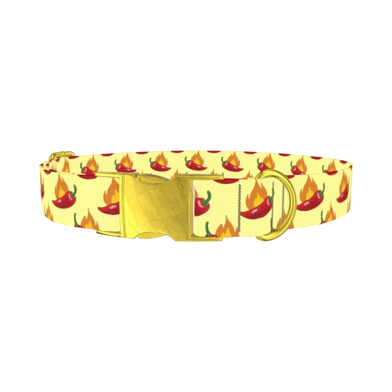 Spicy Pepper Flame Dog Collar - metal gold
