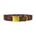 Halloween Floral Moon Dog Collar - metal gold