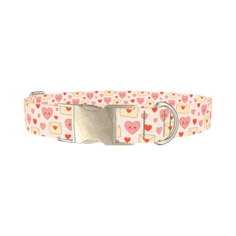 Valentine Hearts Dog Collar - metal silver