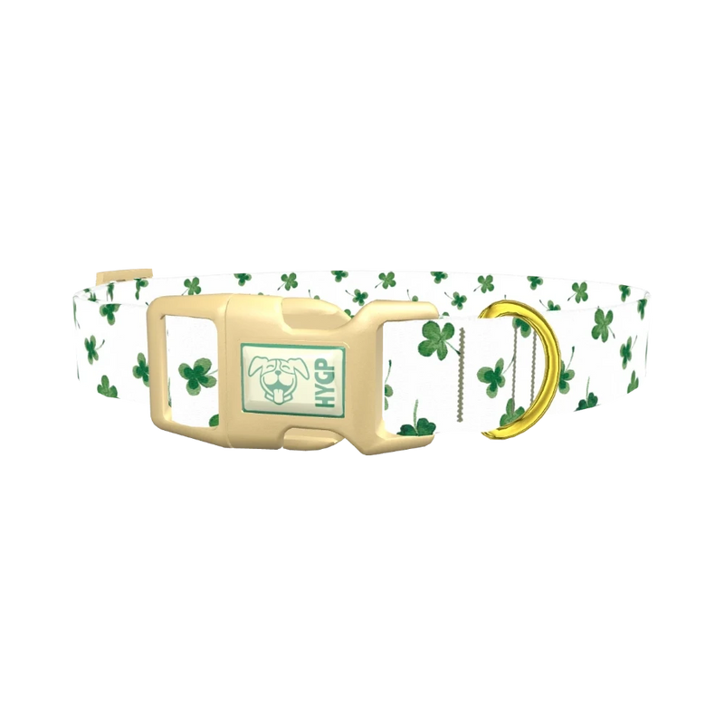 Watercolor Shamrock Dog Collar - plastic gold