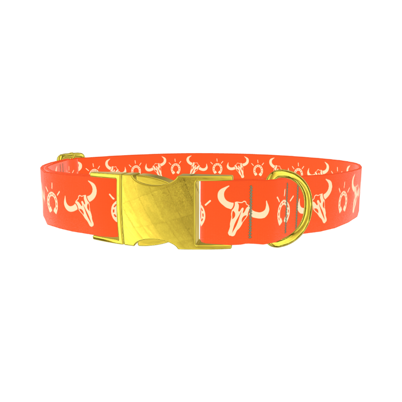 Western Skull Dog Collar - metal rose gold