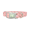 Bee Floral Dog Collar - plastic silver