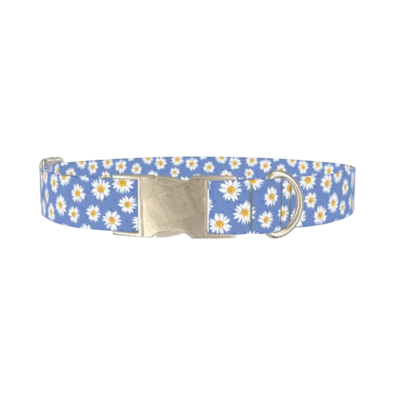 Blue Polka Dot Daisy Dog Collar - metal silver