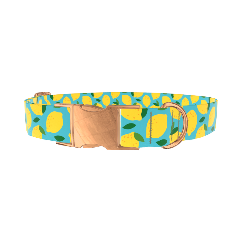 Blue Lemon Pattern Dog Collar - metal rose gold