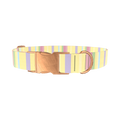 Pastel Stripe Dog Collar - metal silver