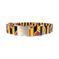 Striped Football Dog Collar - metal silver