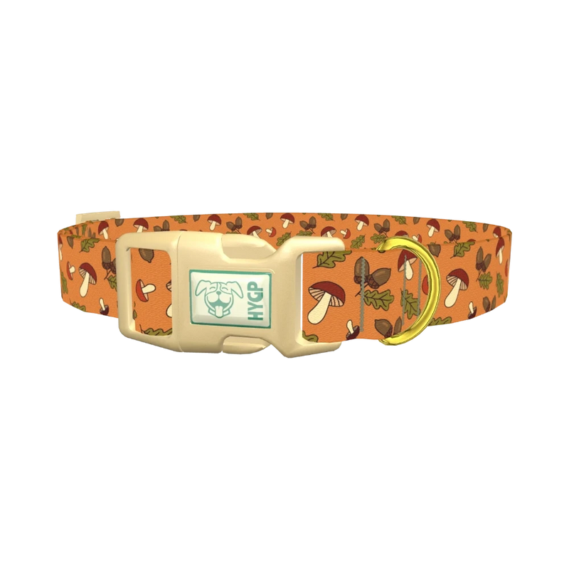 Fall Acorn Mushroom Dog Collar - plastic gold