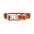 Retro Arrow Stripe Dog Collar - plastic silver