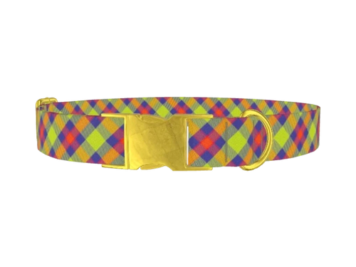 Plaid25_Multicolor