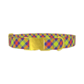 Colorful Plaid Dog Collar - metal gold