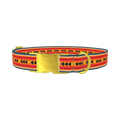 Retro Arrow Stripe Dog Collar - metal gold