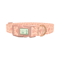 Holiday Western Cactus Dog Collar - plastic rose gold