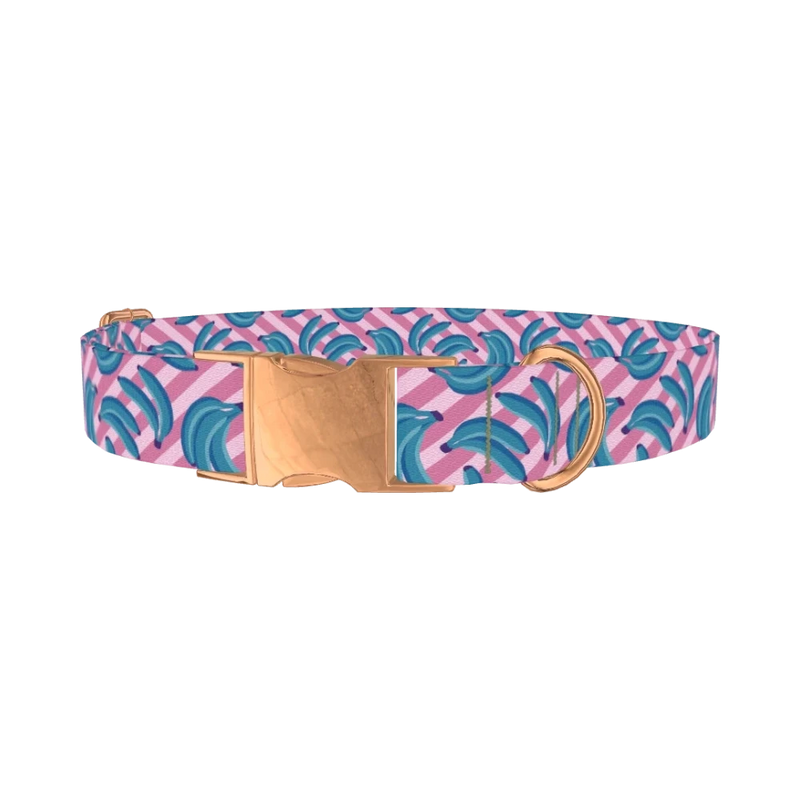 Blue Banana Dog Collar - metal rose gold