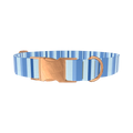 Blue Hexagonal Stripe Dog Collar - metal silver