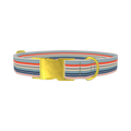 Striped Beige Dog Collar - metal gold